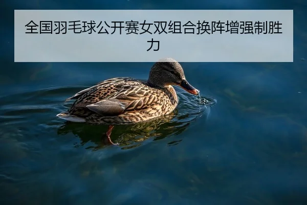 全国羽毛球公开赛女双组合换阵增强制胜力
