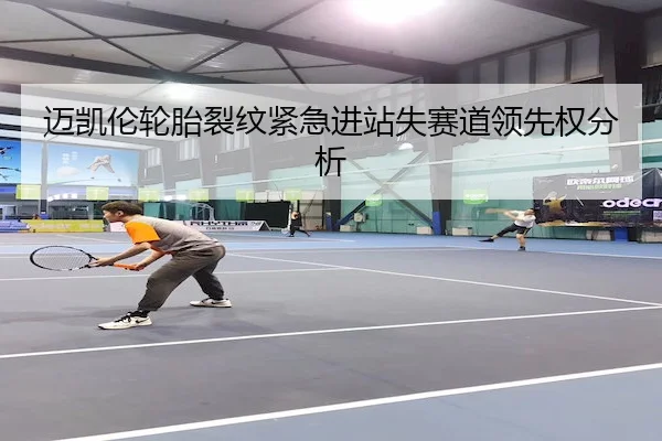 mai-kai-lun-lun-tai-lie-wen-jin-ji-jin-zhan-shi-sai-dao-ling-xian-quan-fen-xi-2-426.jpg